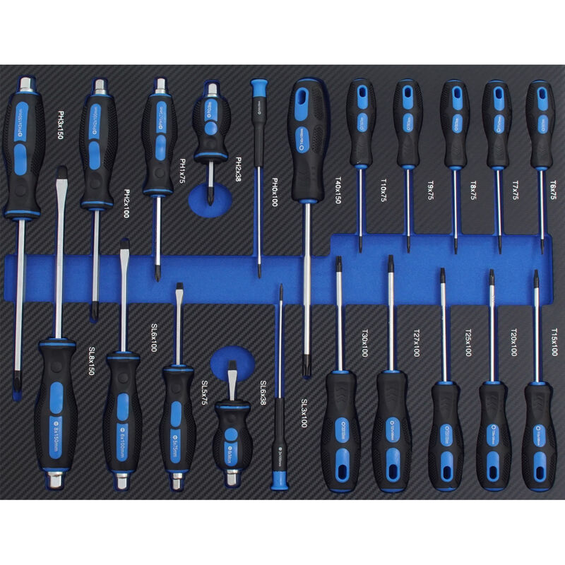 Profi Werkstattwagen Einlage blau Schraubendreher 21 tlg. Sortiment Schaum 520x400mm