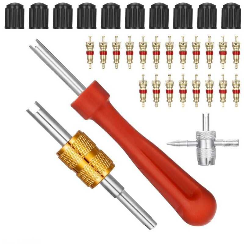 Aiperq - Reparatur-Werkzeugsatz zum Entfernen von Ventileinsätzen + 1 Quad-Ventilwerkzeug + 10 Ventilkappen für Autoreifen + 20 Ventileinsätze für
