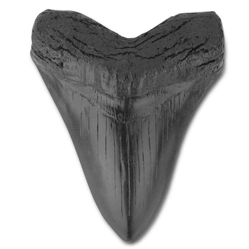 Resin Megalodon Zahn Fossil Riesen Replik,Carcharodon