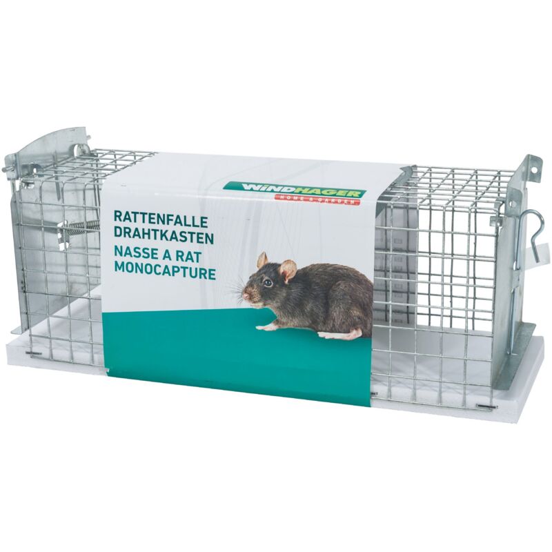 Netz für Ratten und Mäuse