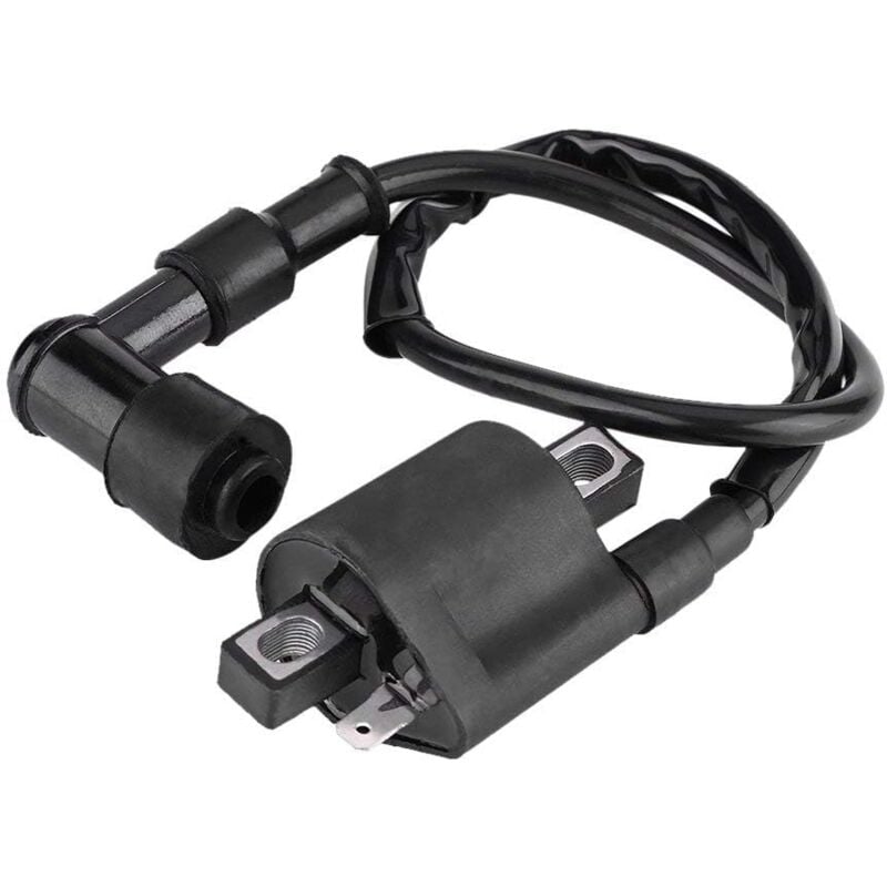 Csparkv - Roller-Zündspule, Zündspule, Off-Road-Motorrad-Zündspule mbk Booster Motorrad-Zündspule für die meisten ATV-Roller-Mopeds 150CC 200CC 250CC