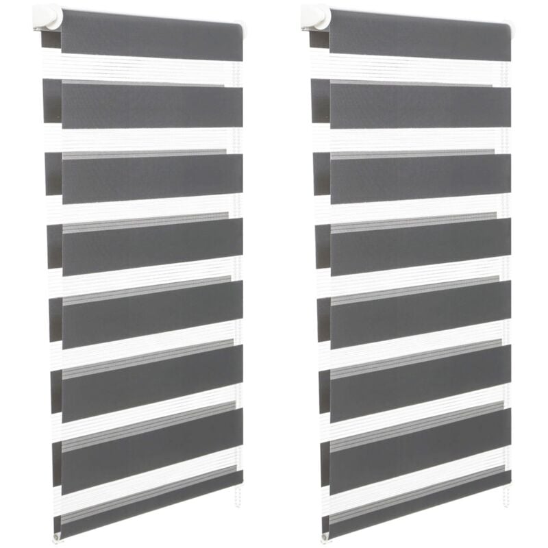 Satz von 2 Rollos mit Zebramuster Tag und Nacht B.40 x h. max 170 cm grau