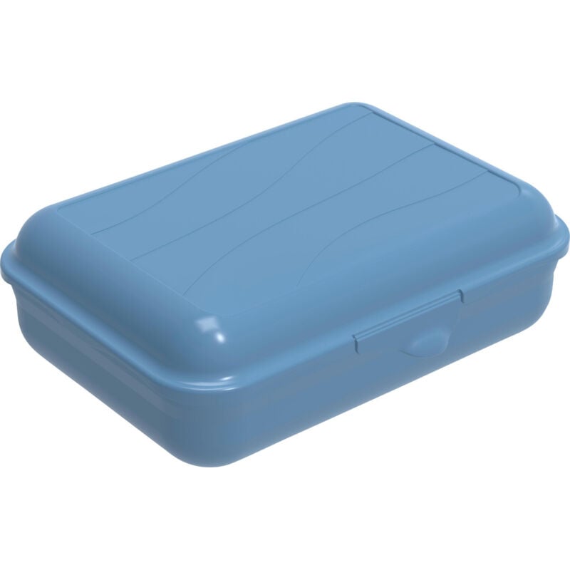 Rotho - Brotdose Funbox 1,25 l, 19,5 x 14,5 x 6,5 cm, horizon blue Boxen, Körbchen & Kisten