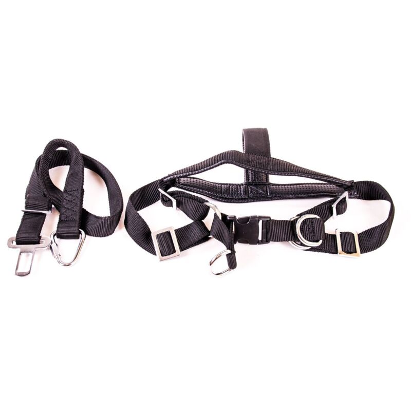 Roy Hundesicherheitsgurt Größe m und l Hundeleine - m