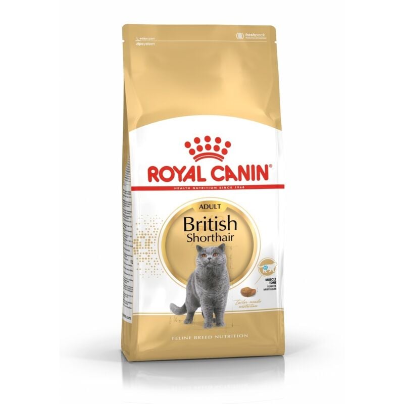 Royal Canin - Essen British Shorthair fЩr erwachsene Katzen - 10 kg