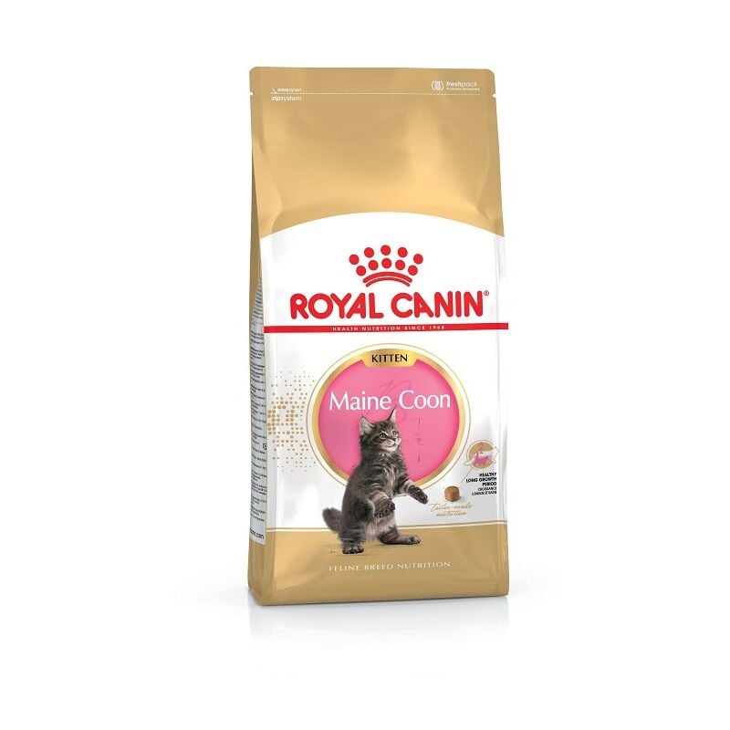 Royal Canin - Essen Kitten Maine Coon fЩr Ktzchen - 10 kg