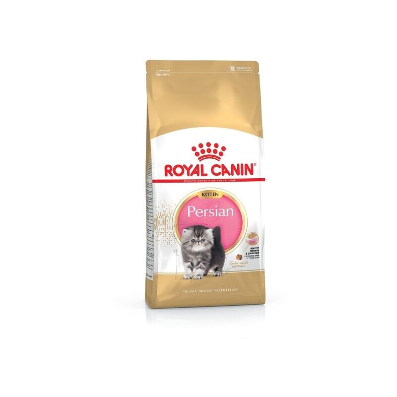 Royal Canin - Essen Kitten Persian fЩr Persisch Gatitos - 10 kg