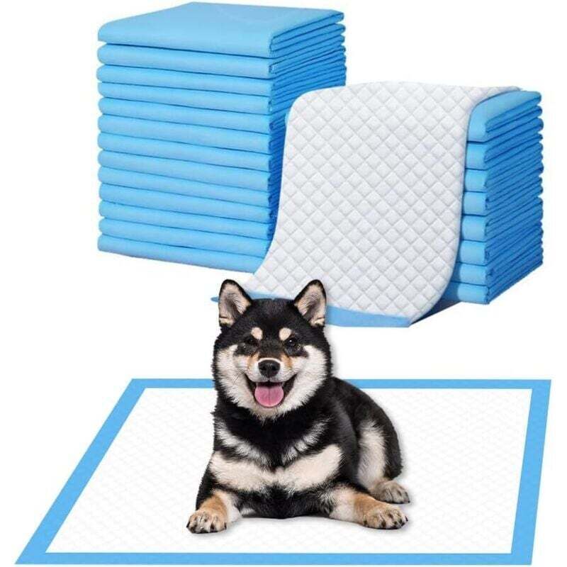 Saugfähige Hundematte, 33 × 45 cm, Einweg-Pipi-Pad, Hunde-Trainingspad, wasserdichtes Haustier-Pad, auslaufsicheres Töpfchen-Trainingspad, 100 Stück