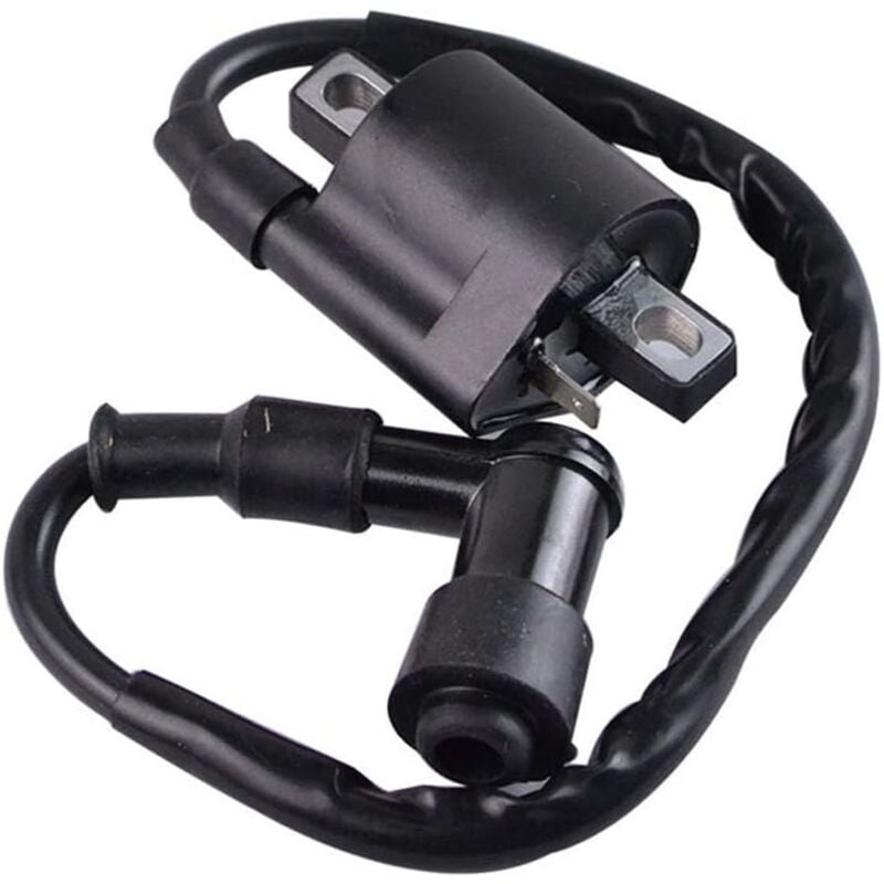 Aougo - Schwarze Zündspule, kompatibel mit Yamaha PW50 PY50 peewee py pw 50 Dirt Pit Bike-Teilen