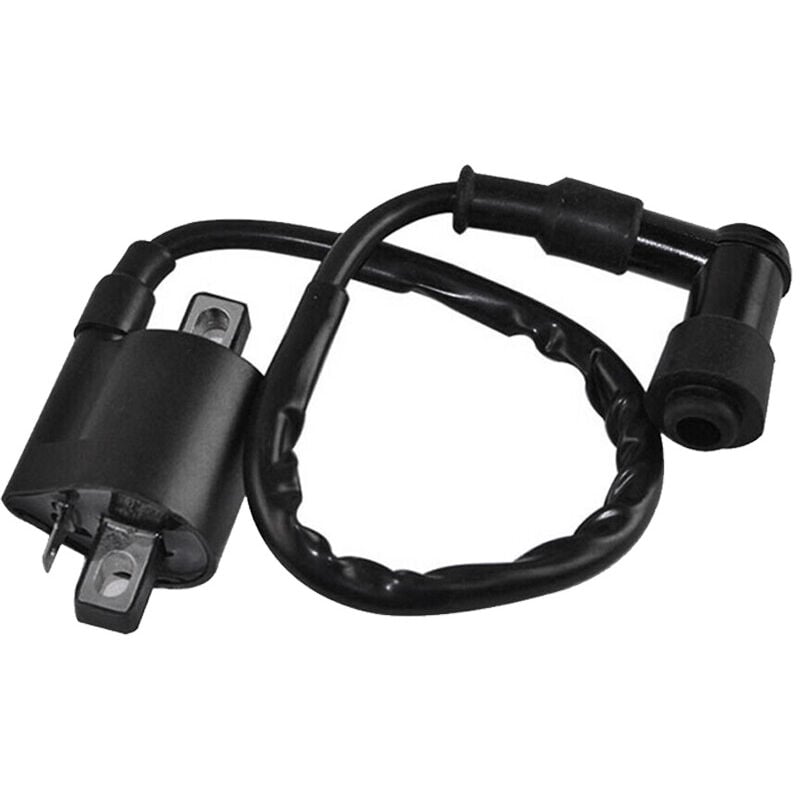 Schwarze Zündspule, kompatibel mit Yamaha PW50 PY50 peewee py pw 50 Dirt Pit Bike-Teilen