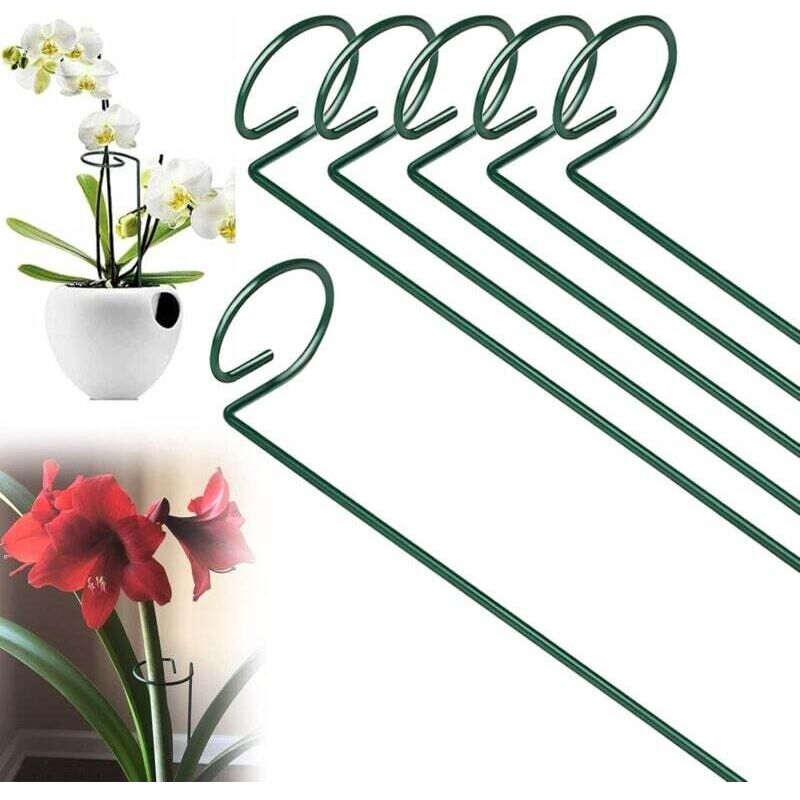 Set mit 6 Metall-Pflanzkäfigstützen – Einzelstamm – 40 cm – Für Tomaten, Pfingstrosen, Lilien, Rosen und Amaryllis, grün