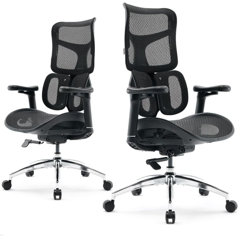 SIHOO ergonomischer Bürostuhl mit dualer dynamischer Lordosenstütze, Schreibtischstuhl mit 5-fach verstellbarer Rückenlehne, Bürostuhl mit