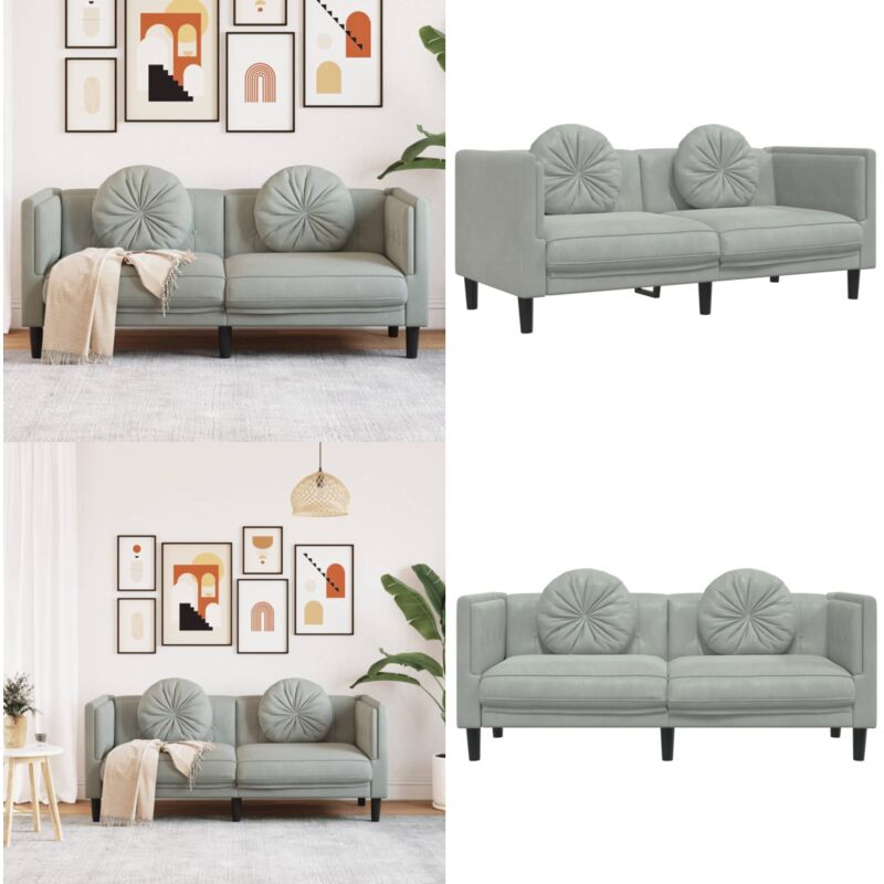 Sofa mit Kissen 2-Sitzer Hellgrau Samt - Samtsofa - Wohnzimmersofa - 2-Sitzer Sofa - Grau Sofa - Modernes Sofa - Home & Living