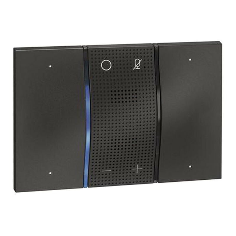 Bticino Living Now Sprachsteuerung Amazon Alexa schwarz KG8013