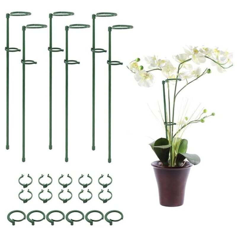Stück Pflanzenkäfig-Stabringe mit Befestigungsschnalle für Pflanzen, Blumen, Orchideen, Pfingstrosen, Rosen, Pflanzenstützstab, Gartenstab,