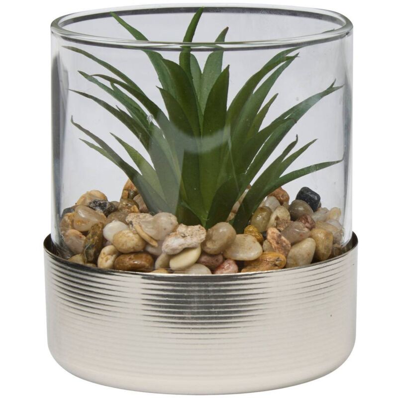 Terrarium Sky 8,5x8cm -