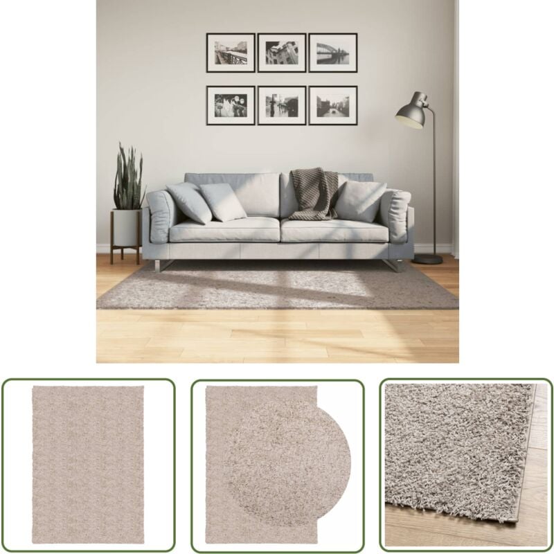 The Living Store - Shaggy-Teppich pamplona Hochflor Modern Beige 120x170 cm - Shaggy Teppich - Flauschiger Teppich - Wohnzimmer Teppich