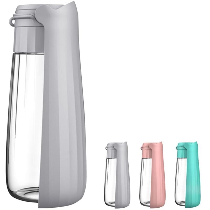 Tragbare Hunde-Trinkflasche, ideal für Spaziergänge und Reisen mit Ihren Haustieren. Auslaufsichere 560-ml-Trinkflasche mit Napf und Wassernapf,