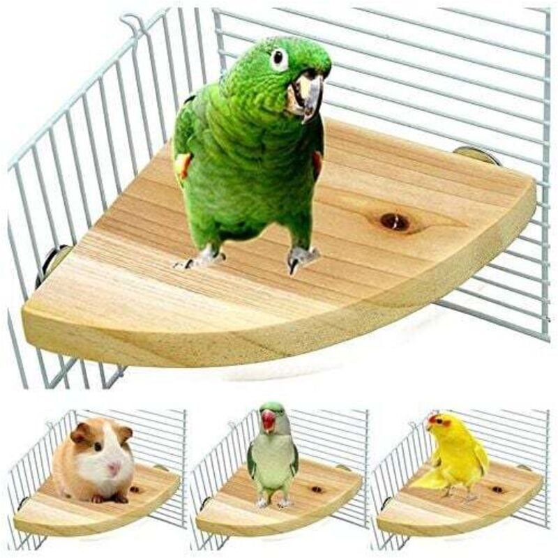 UlisemBird Käfig Sitzstange Ständer Plattform Holz Fächerförmig Papagei Spielplatz Käfig Zubehör für Vögel Papageien Hamster Eichhörnchen Stehend