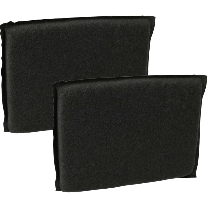 vhbw 2x Aktivkohlefilter kompatibel mit Vorwerk Tiger VT300, VT-270, VT-300 Staubsauger - Filterset, Schwarz