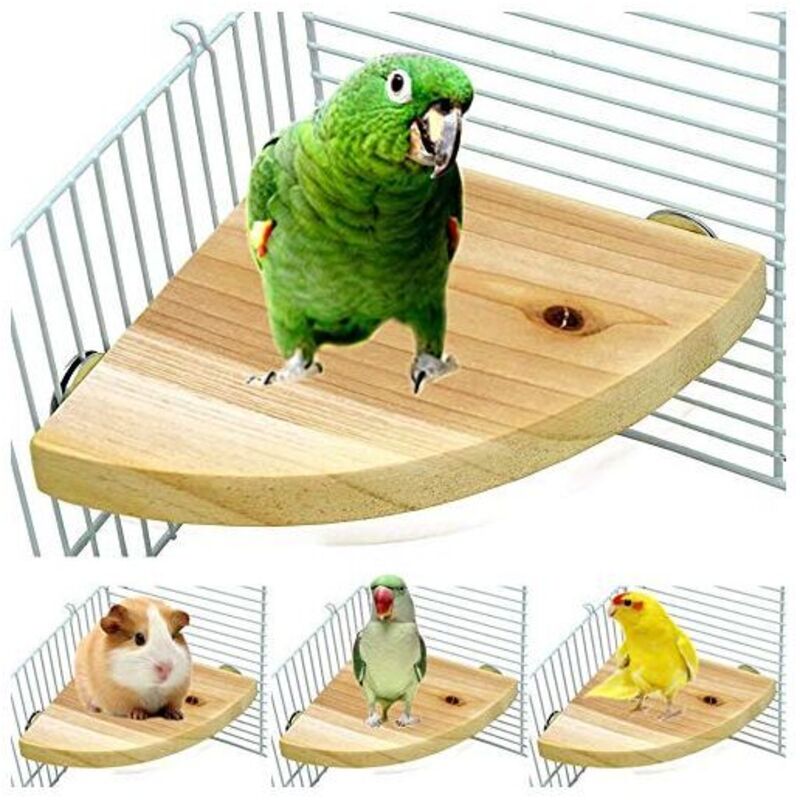 Vogelkäfig-Sitzstange aus Holz, fächerförmige Plattform, Spielplatz für Papageien, Käfigzubehör für Vögel, Papageien, Hamster, Eichhörnchen