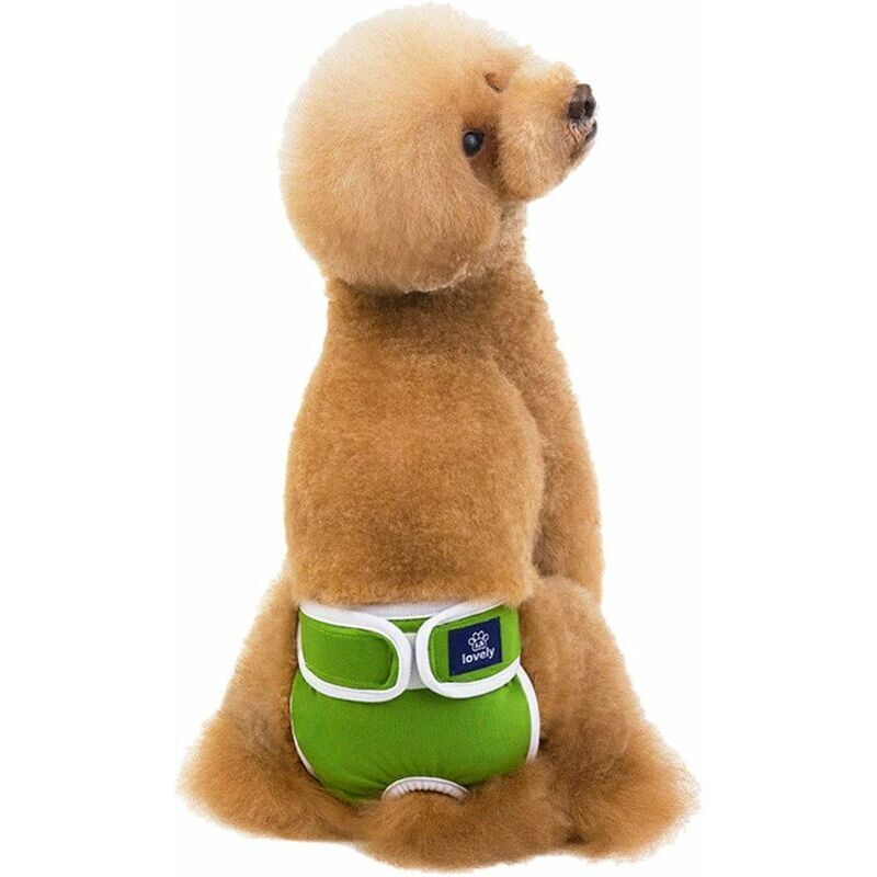 Waschbare Hündinnenwindel, saugfähige Hygienehosen für Hündinnen, wiederverwendbare Windeln für Hunde und Katzen, Hygienehosen für Hündinnen, Grün, XL