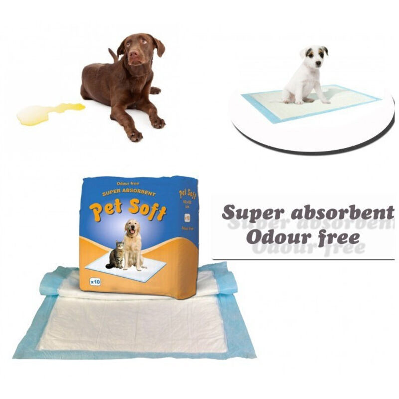 Trade Shop Traesio - Trade Shop - x 10 Traverse super absorbierende Teppich Hunde fangen Gerüche Tierbedarf -