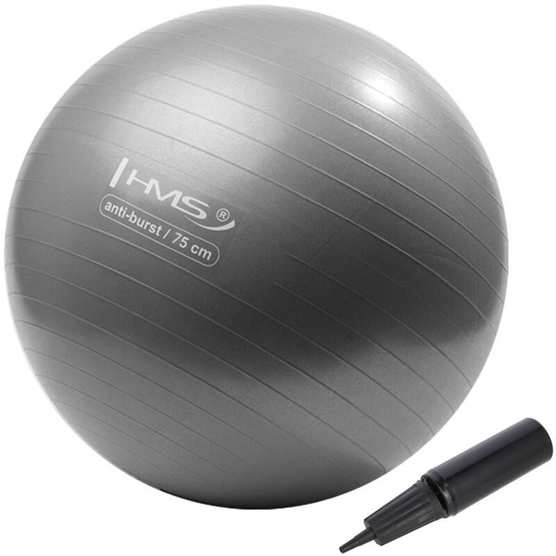 Yb02 Neu 75cm Grau Gymnastikball Hms