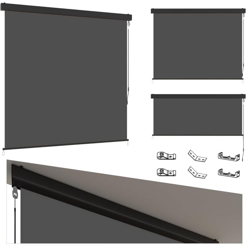 Senkrechtmarkise, Innen/Außen Ausziehbare Vertikalmarkise an der Wand Order Decke, Sonnenschutz Wetterbeständig Markise mit Kurbel für Garten (Grau,