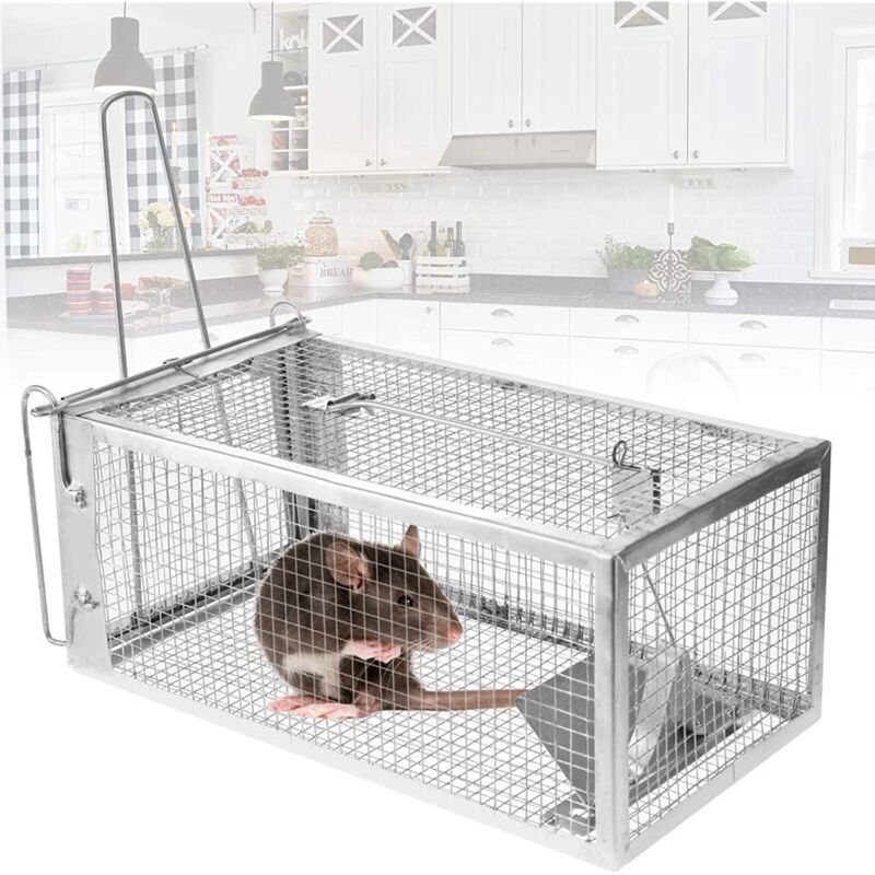 Youyijia Mausefalle Wiederverwendbare Mehrfach Falle Tierfreundliche Lebendfalle für Mäuse Ratten Nage