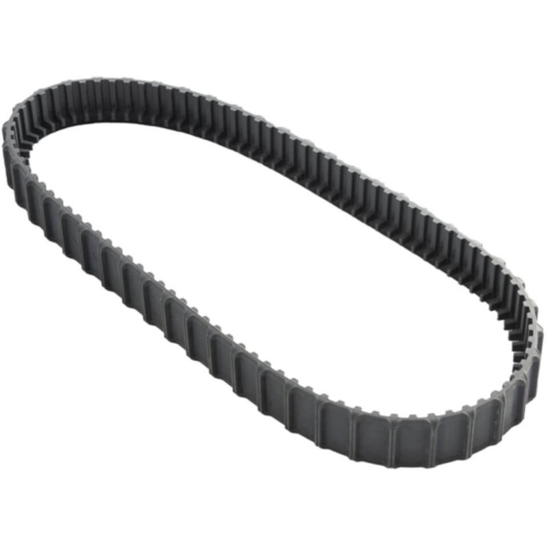 Maytronics - Zahnriemen schwarz für Poolroboter Dolphin Liberty 200 und 300
