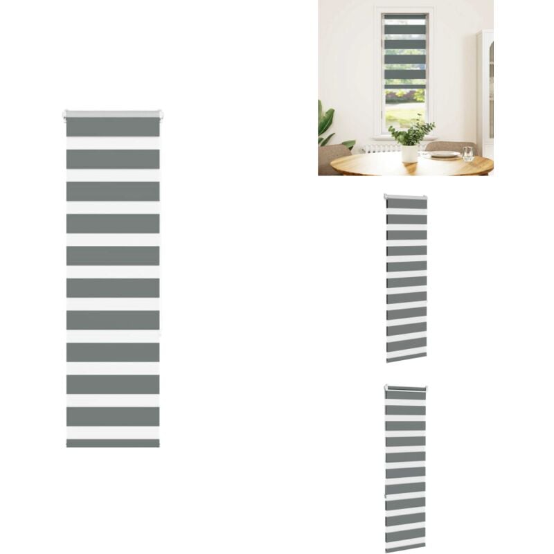 Vidaxl - Zebrarollo Dunkelgrau 40x150 cm Stoffbreite 35,9 cm Polyester - Zebra-Jalousie - Zebra-Jalousien - Zebra-Rollo - Doppelrollo