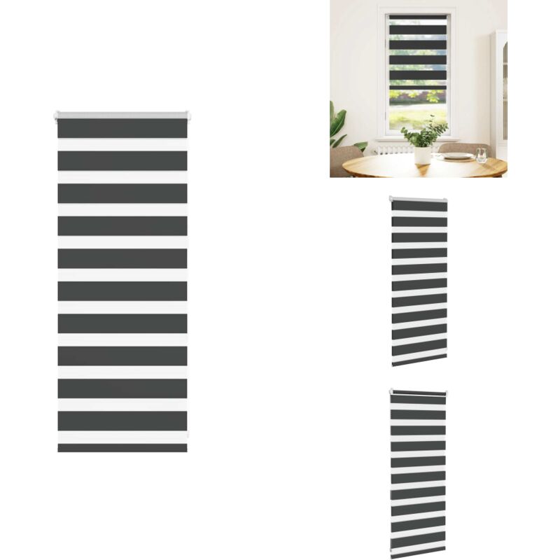 Vidaxl - Zebrarollo Schwarz 65x100 cm Stoffbreite 60,9 cm Polyester - Zebra-Jalousie - Zebra-Jalousien - Zebra-Rollo - Doppelrollo