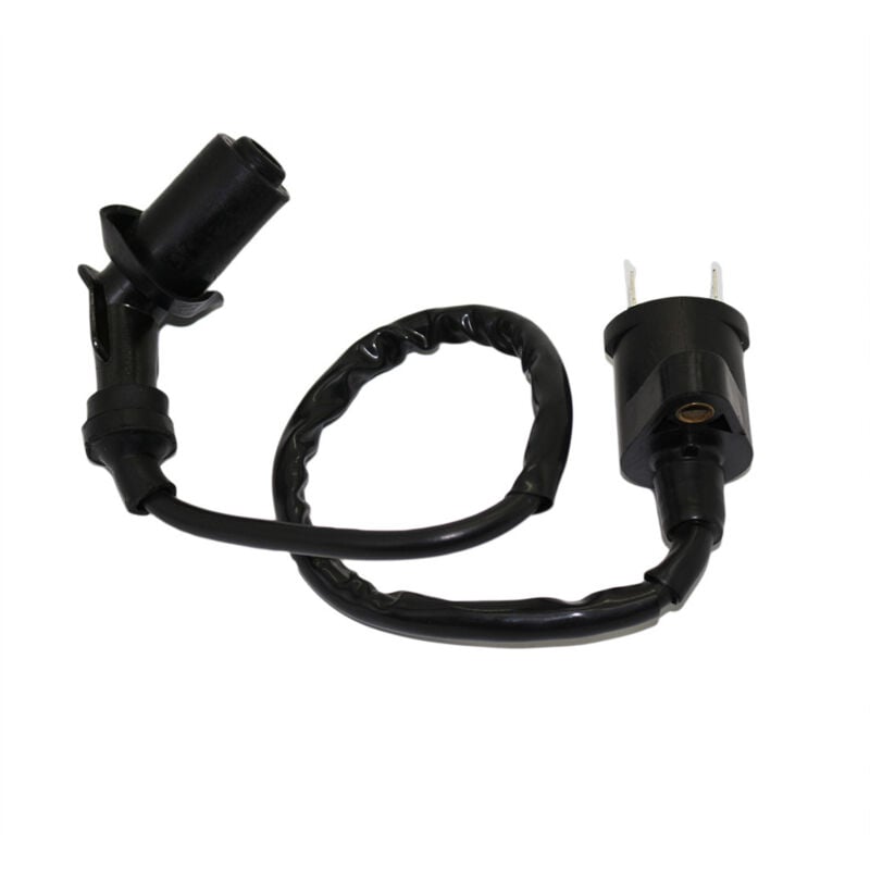 Zündspule für GY6 50cc-150cc Honda Taotao Kymco Scooter Moped Go Kart 120 Grad
