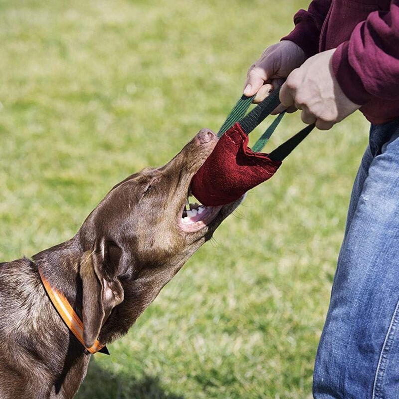 ZVD-Bite Wurst Hundespielzeug, K9 mit 2 Griffen, rund, 40cm