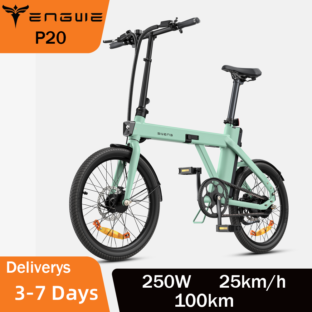 ENGWE P20 20 inch Folding Electric Bike 250W Torque Sensor Motor E-Bike 36V 9.6Ah Battery Hydraulic Disc Brakes Electric Bicycle