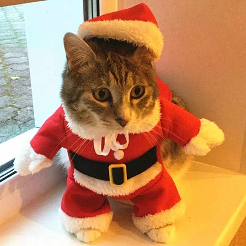 Weihnachtskostüme, lustige Weihnachtsmann-Kleidung für kleine Katzen, Hunde, Weihnachten, Neujahr, Haustier-Katzen-Kleidung, Winter-Kitty-Kätzchen