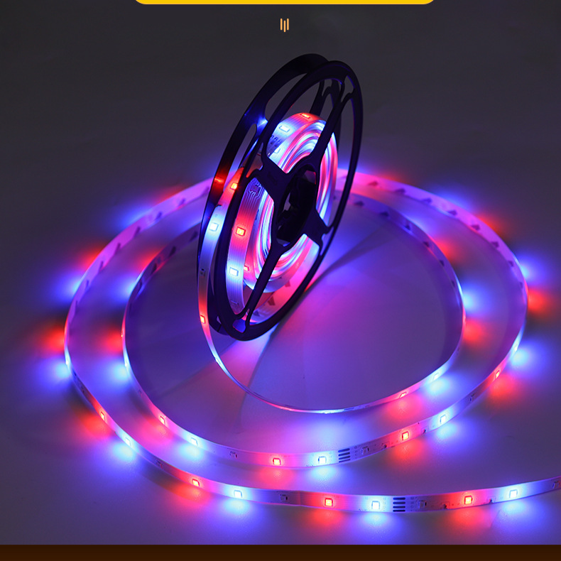 Light strip led strip self adhesive 2835rgb led light strip 12v colorful neon light 5 meters outdoor low voltage