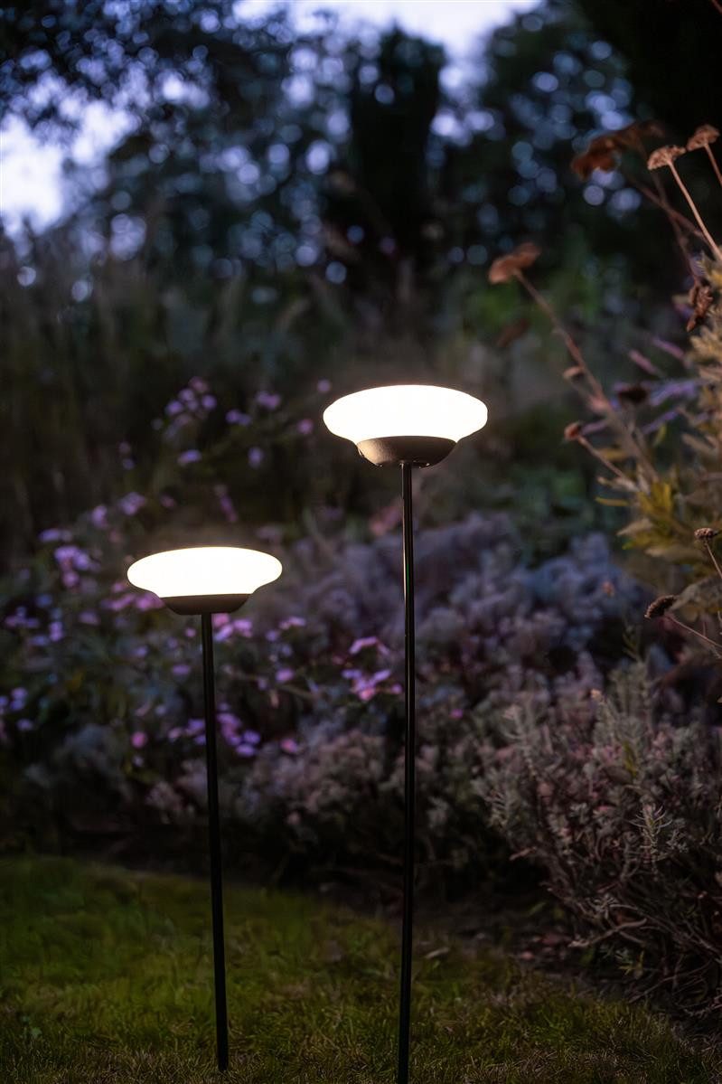 lumix LED Solarleuchte LUMIX Solar Flower