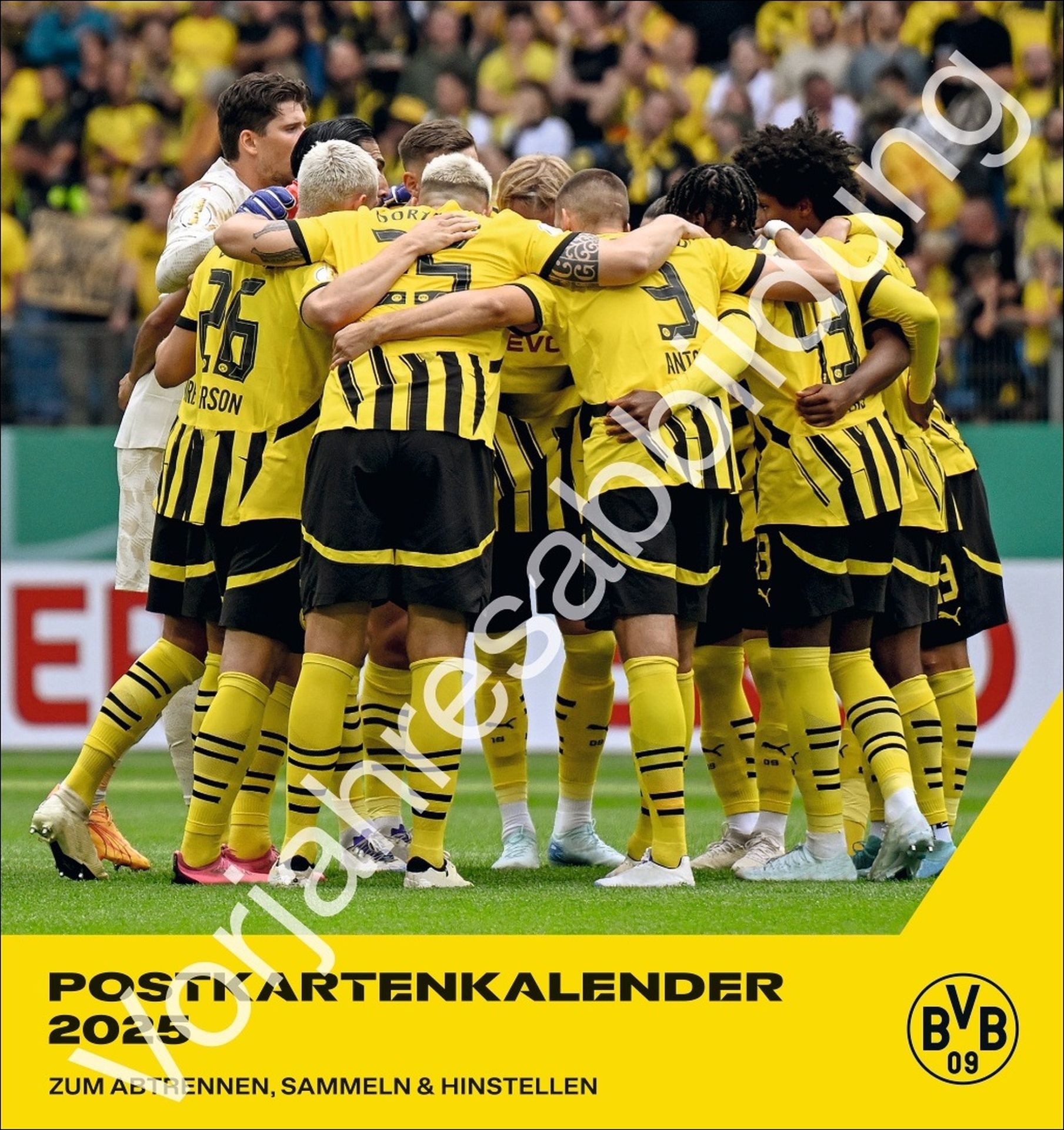 Athesia Kalenderverlag Wandkalender BVB Postkartenkalender 2026