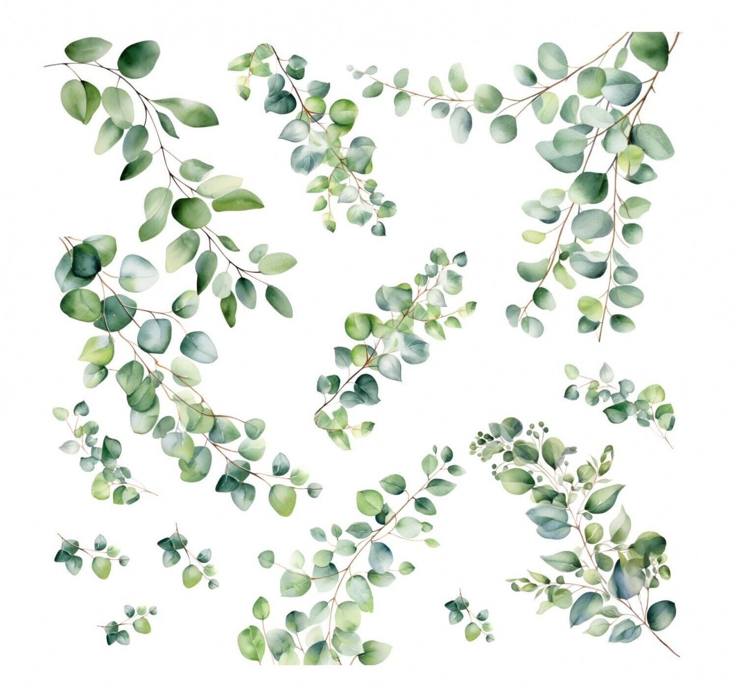 nikima Wandtattoo 261 Wandtattoo Eukalyptus Ranken
