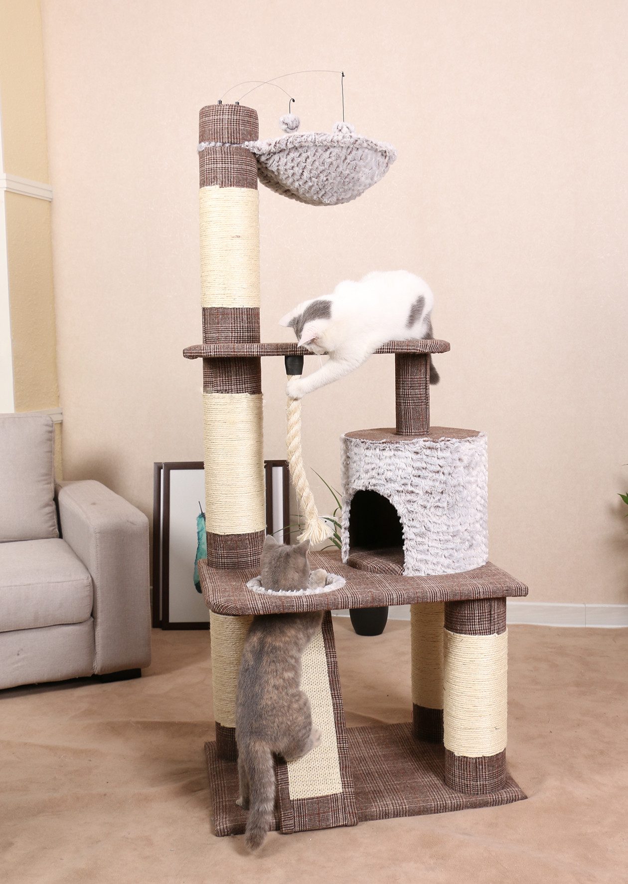 HEIM Kratzbaum Kratzbaum 'Schottland III'