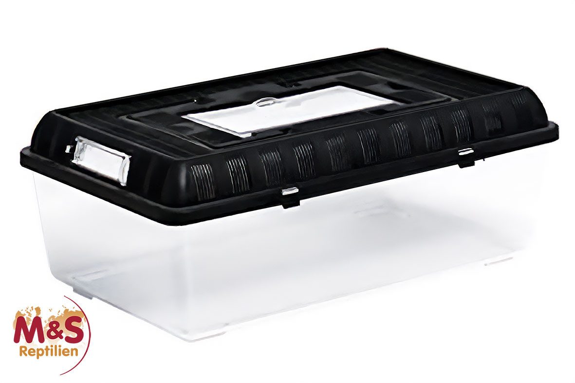 ReptiZoo Terrarium ReptiZoo Plastikterrarium large 42x26x16