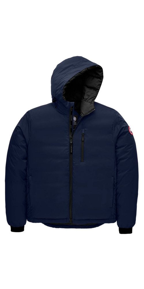 Canada goose