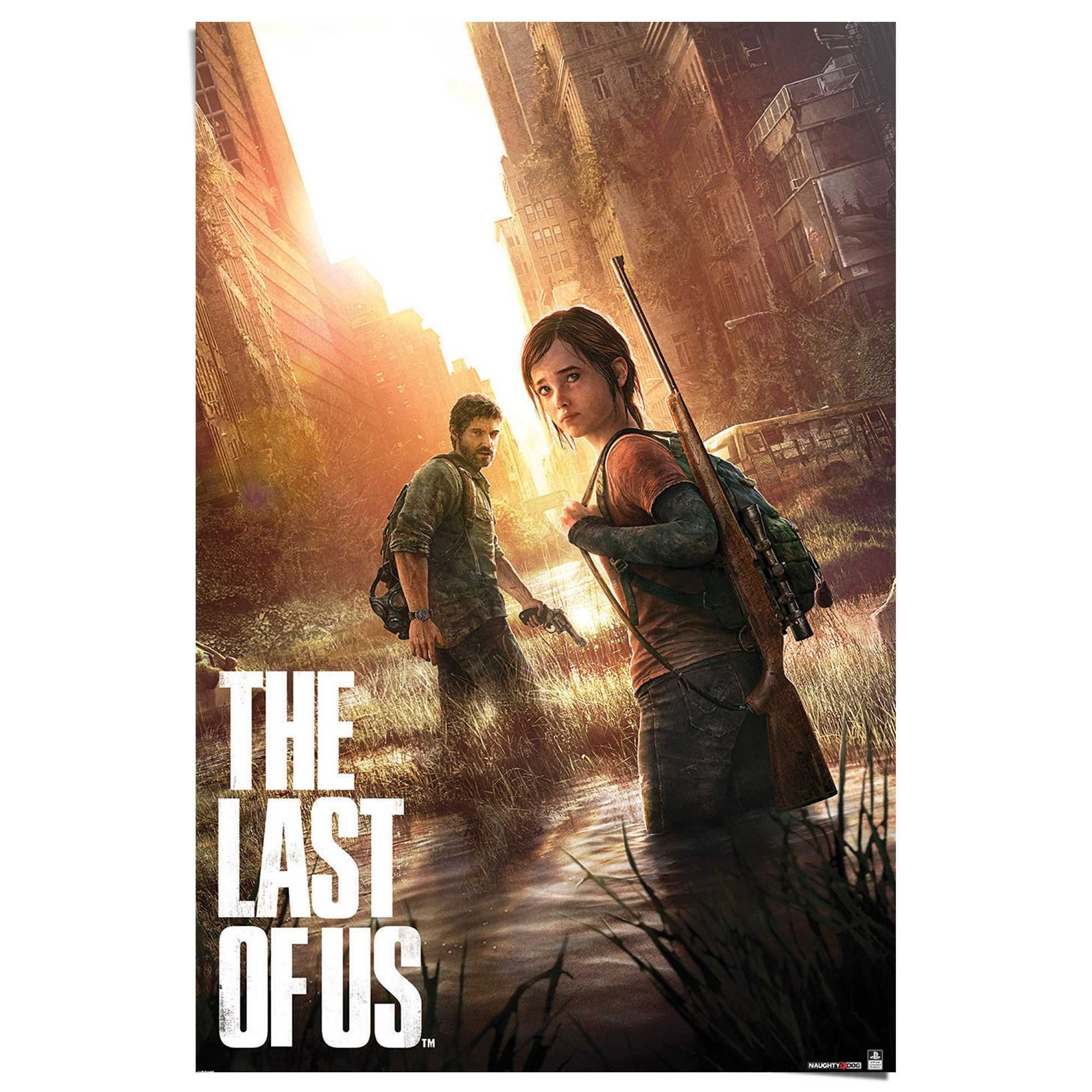 Reinders! Poster Playstation - the last