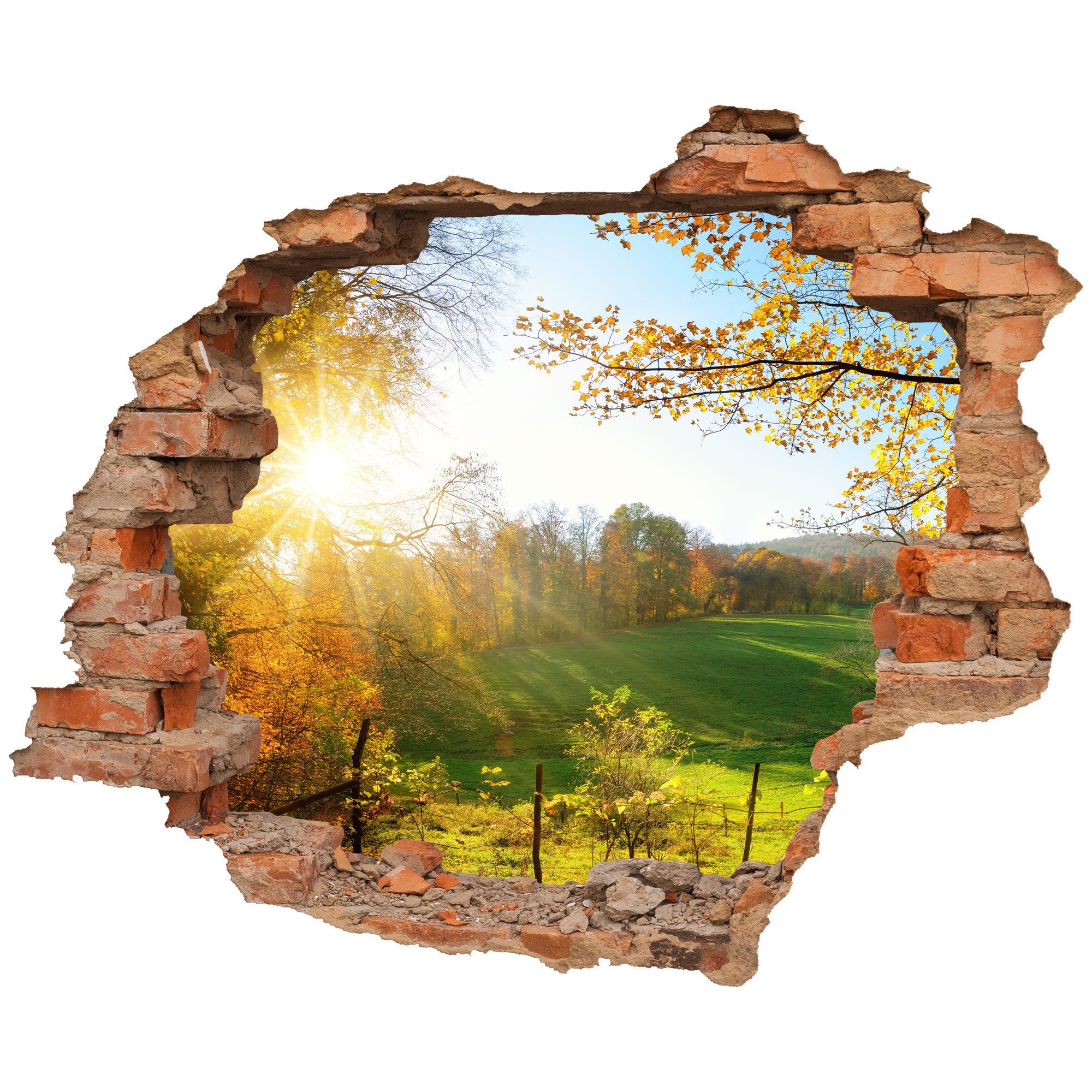 WallSpirit Wandtattoo Wanddurchbruch 'Waldlichtung', Selbstklebend, rückstandslos