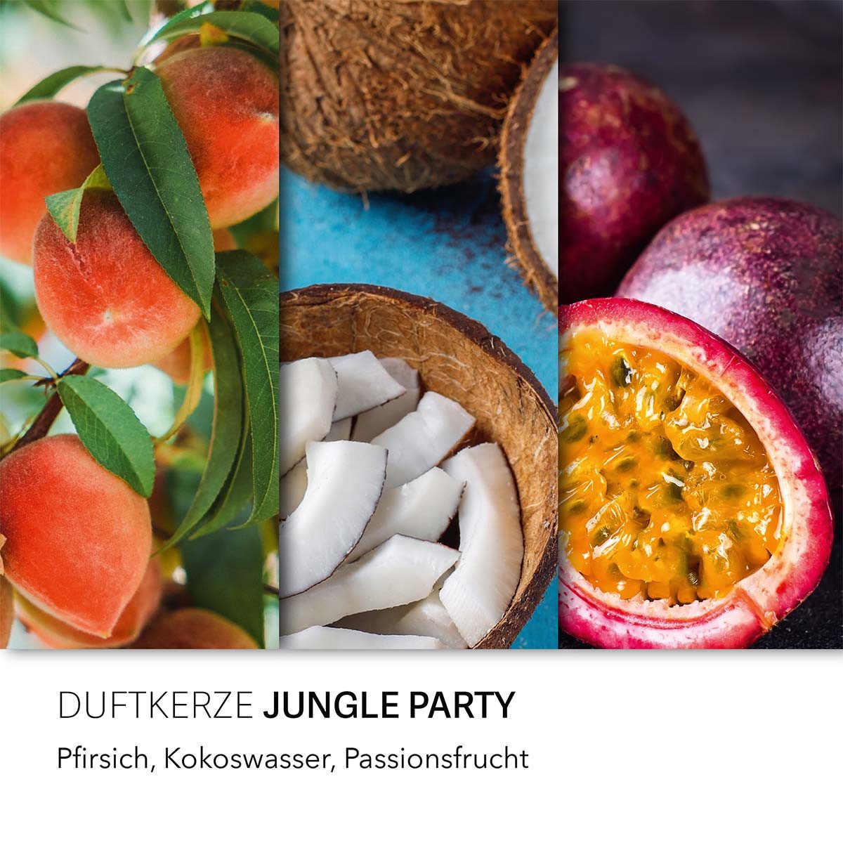 HARIBO Duftkerze Haribo Jungle Party -