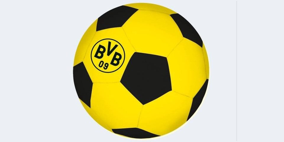 BVB Fußball BVB Neopren Fußball 22