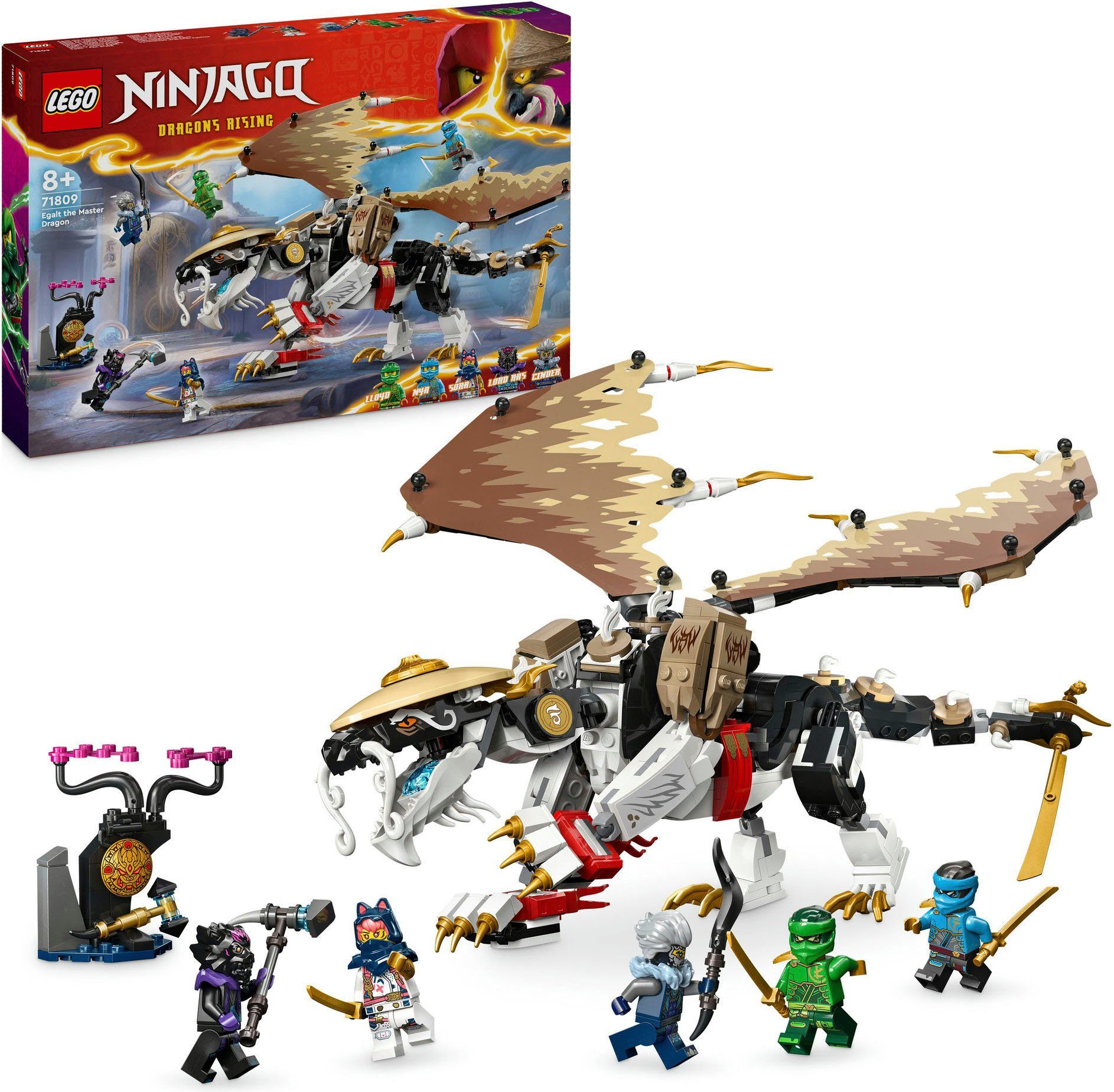 LEGO® Egalt der Meisterdrache (71809), LEGO