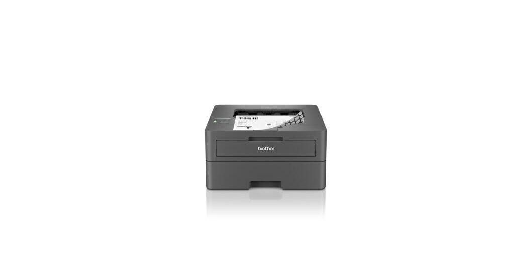 Brother Brother HL-L2400DW Laserdrucker, (WLAN, LAN,